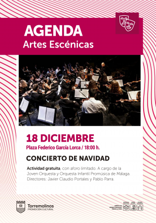 Concierto de Navidad