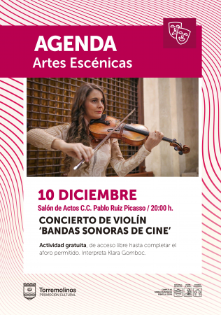 Concierto de Violín 