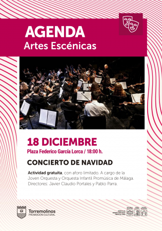 CONCIERTO DE NAVIDAD 2020